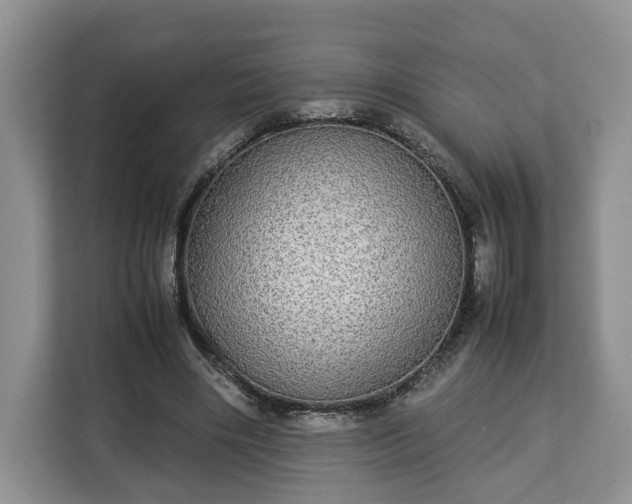 X0000112830490200908281534