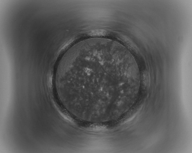 X0000112830491200908281534