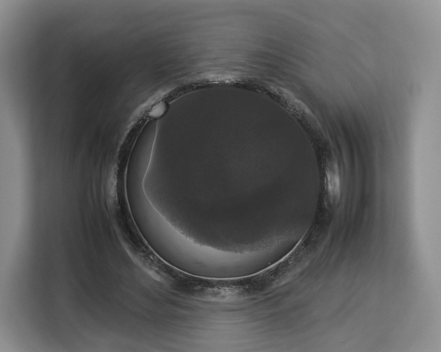 X0000112830492200908281534