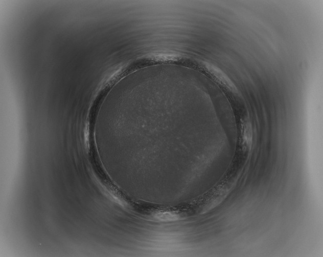 X0000112830494200908281534