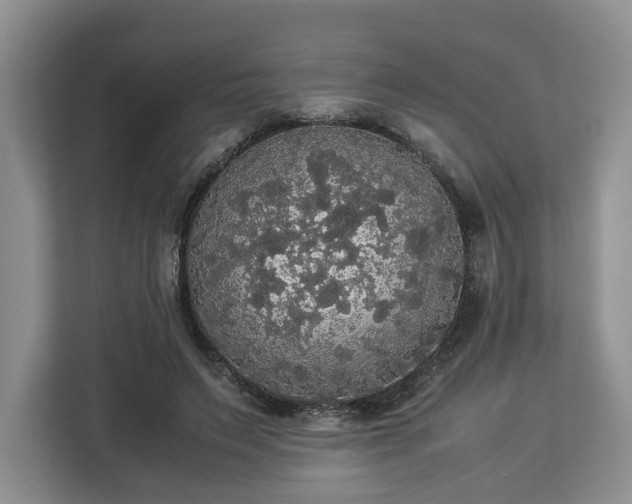 X0000112830495200908281534