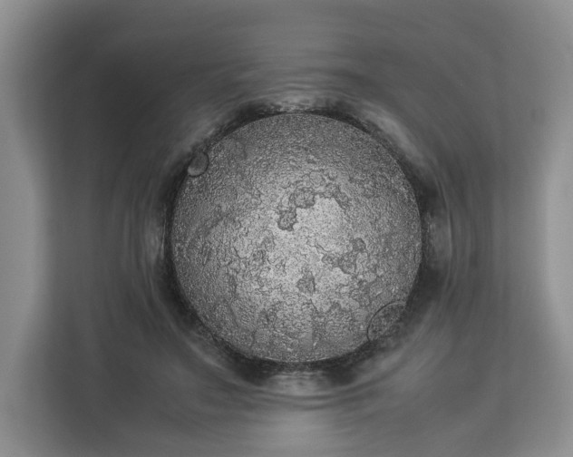 X0000112830499200908281534