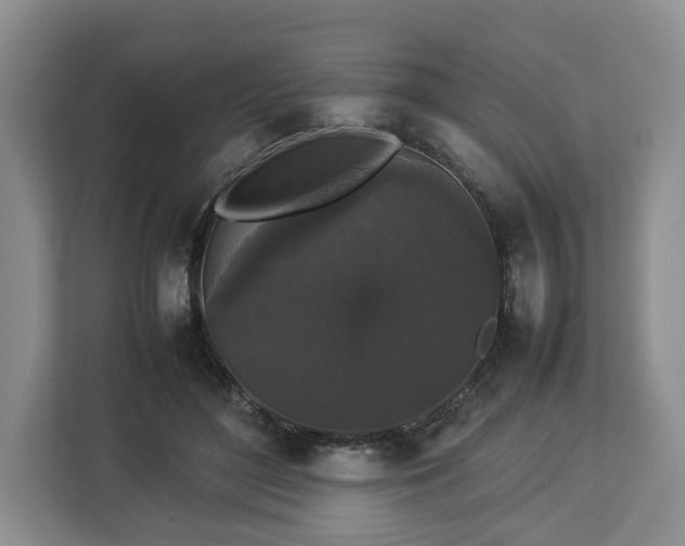 X0000112830500200908281534