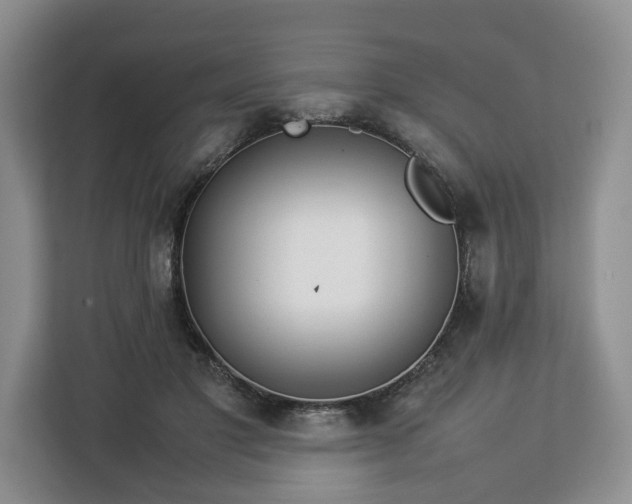 X0000112830501200908281534