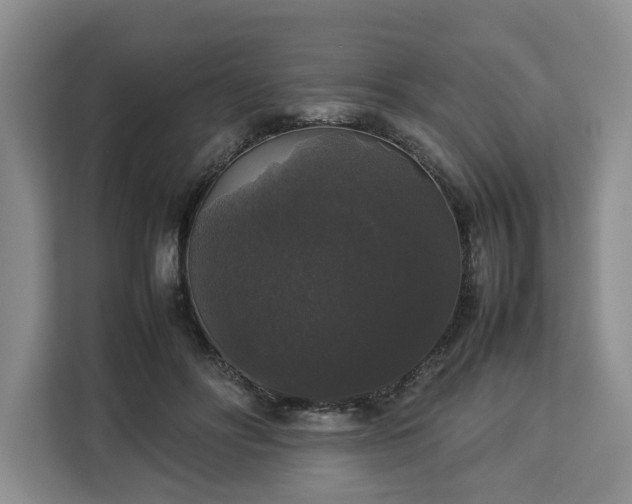 X0000112830502200908281534