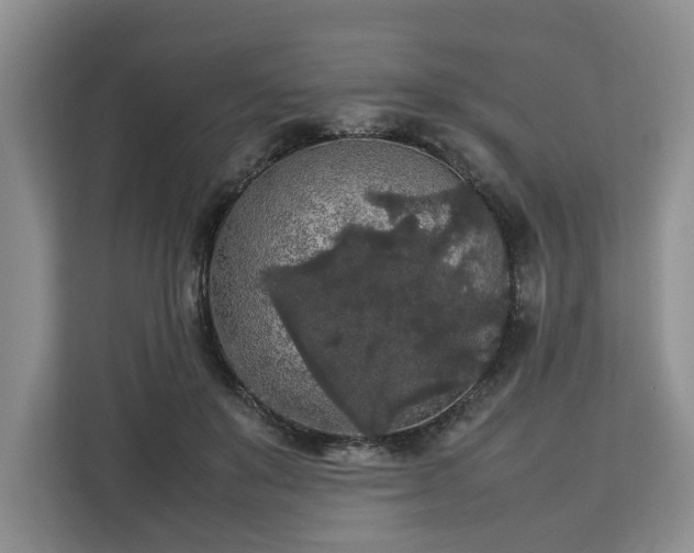 X0000112830503200908281534