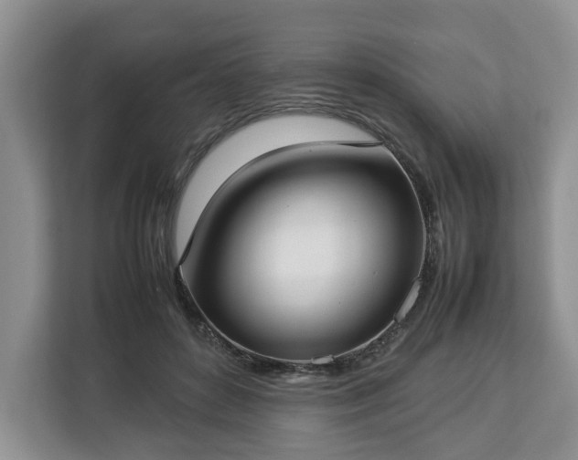 X0000112830504200908281534