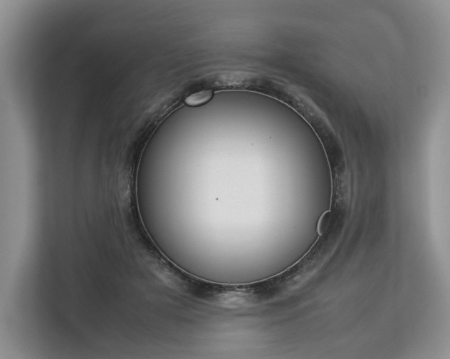 X0000112830505200908281534