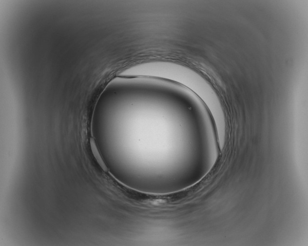 X0000112830509200908281534