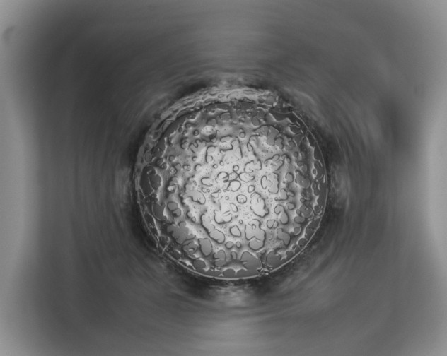 X0000112830511200908281534