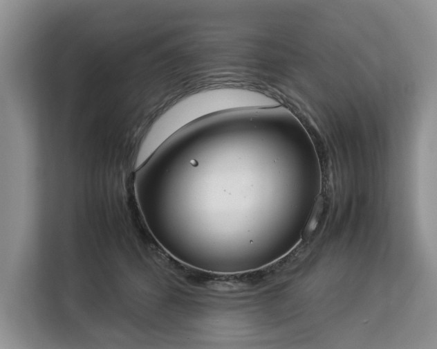 X0000112830512200908281534