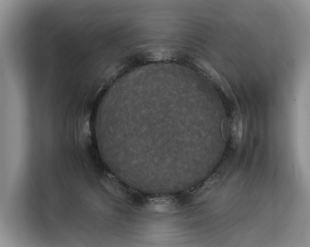 X0000112830516200908281534