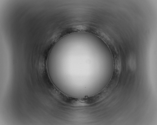 X0000112830518200908281534