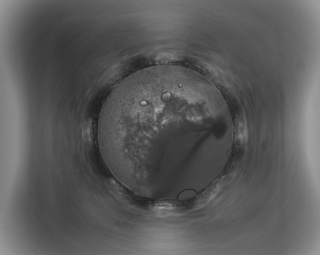 X0000112830519200908281534