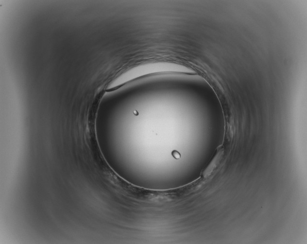 X0000112830520200908281534