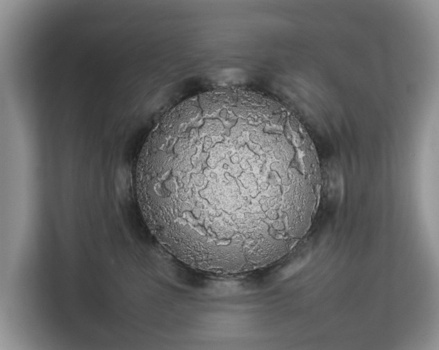 X0000112830523200908281534