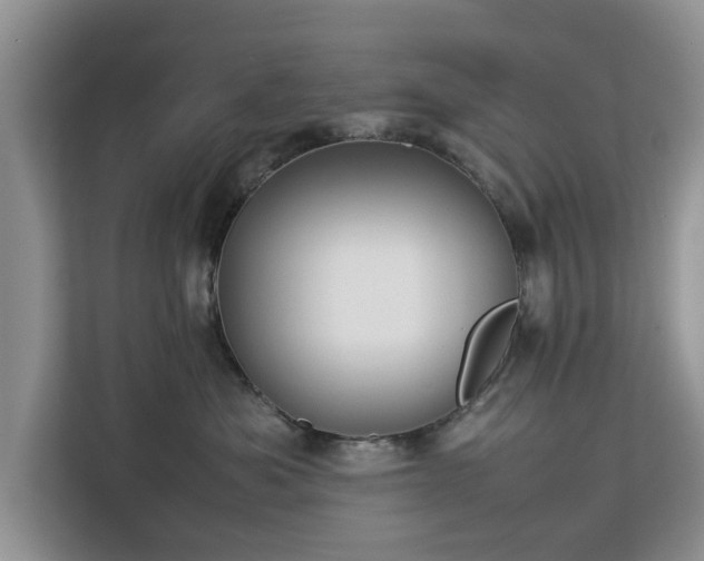 X0000112830525200908281534