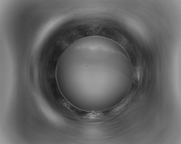 X0000112830526200908281534