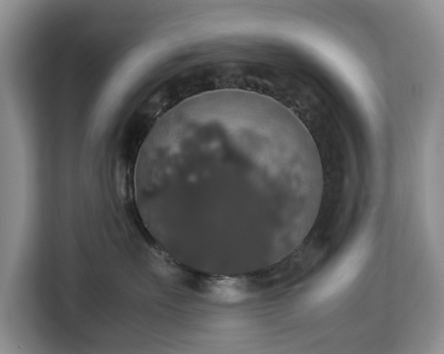 X0000112830527200908281534