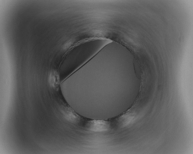 X0000112830528200908281534