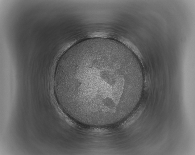 X0000112830529200908281533