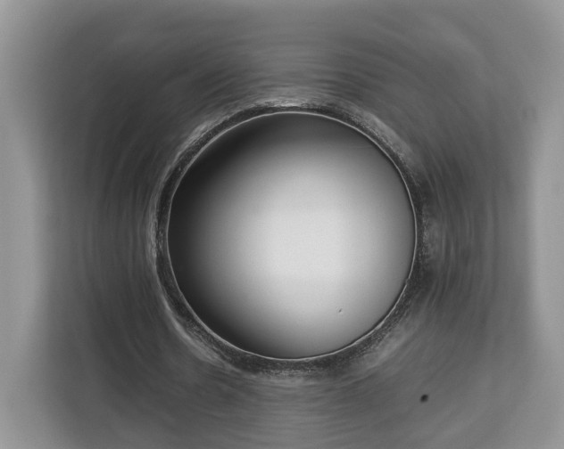 X0000112830530200908281533