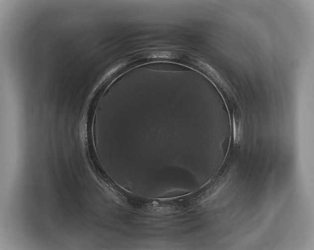 X0000112830531200908281533