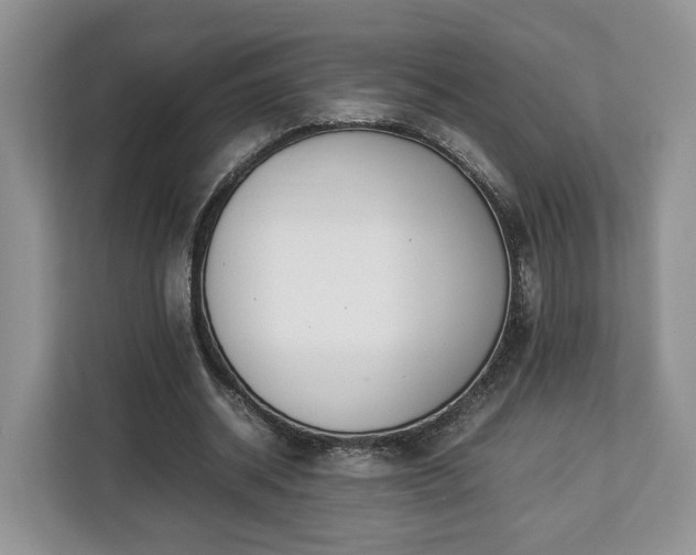 X0000112830534200908281533