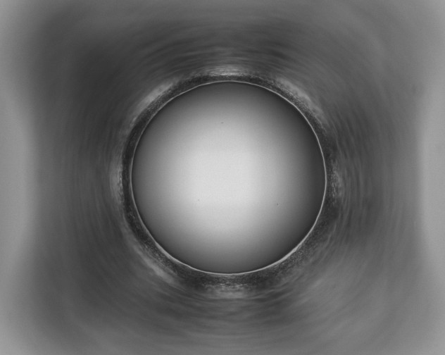 X0000112830535200908281533