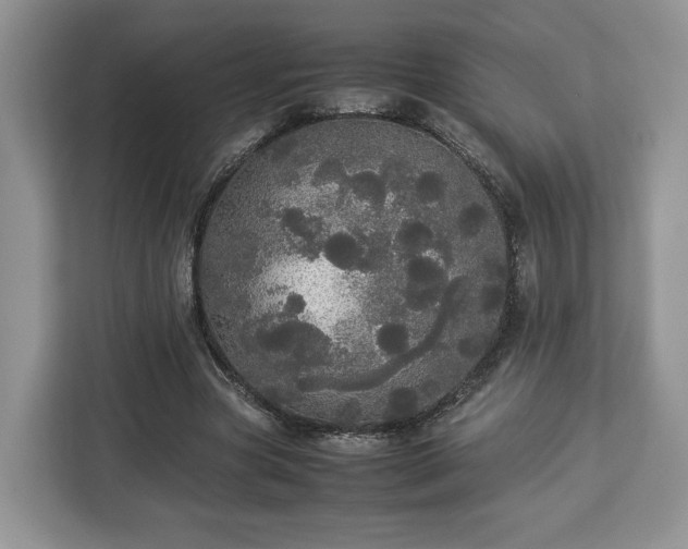 X0000112830537200908281533