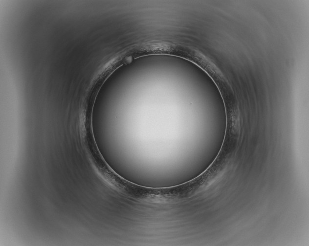 X0000112830538200908281533