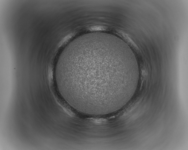 X0000112830539200908281533