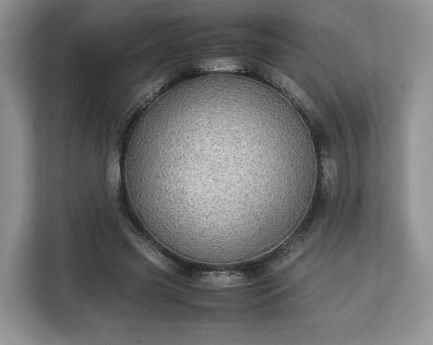 X0000112830541200908281533