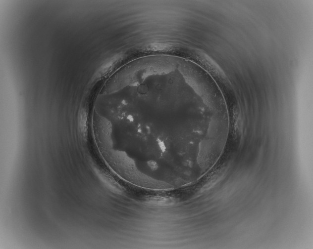 X0000112830542200908281533