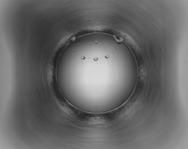 X0000112830544200908281534