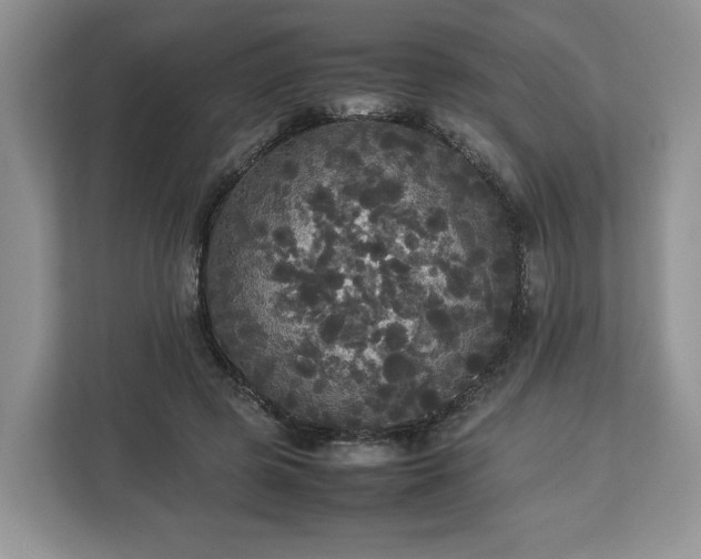 X0000112830545200908281534