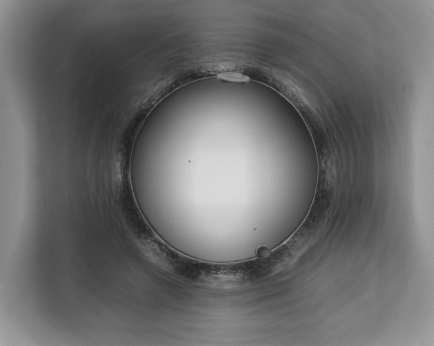 X0000112830546200908281534