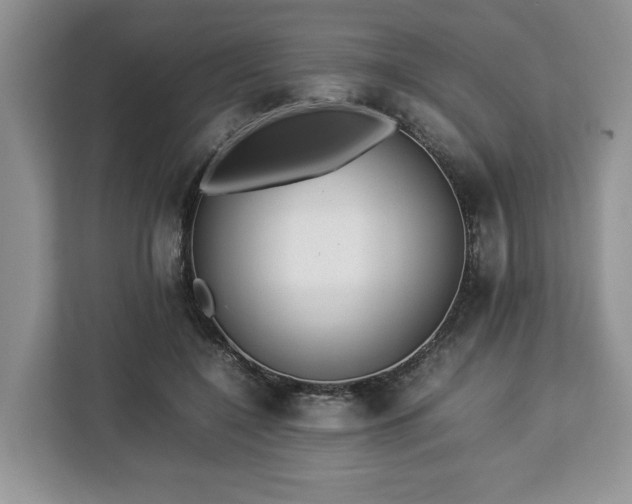 X0000112830548200908281534