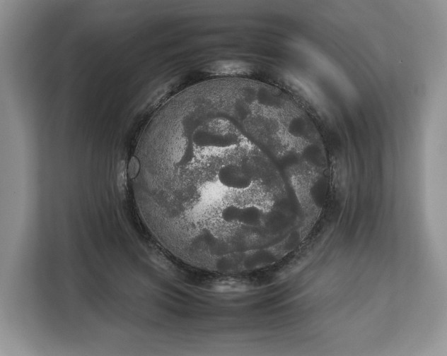 X0000112830549200908281534