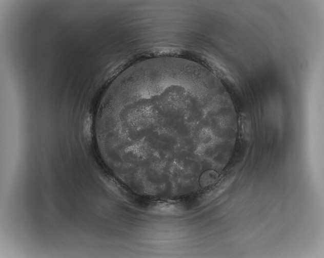 X0000112830550200908281534