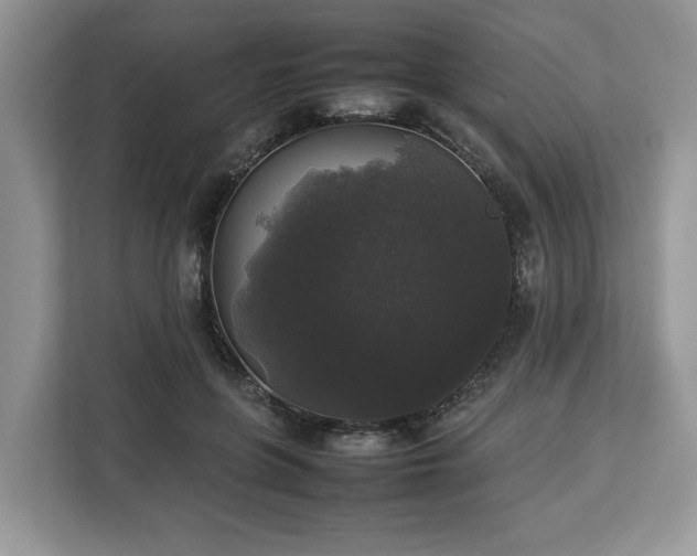 X0000112830551200908281534