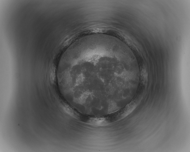 X0000112830554200908281534