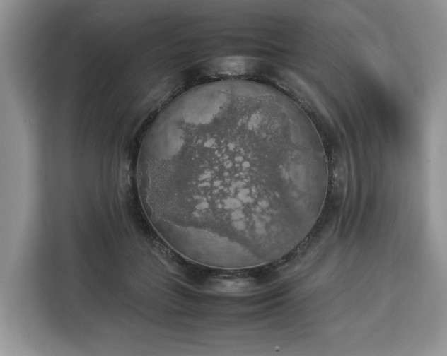 X0000112830555200908281534