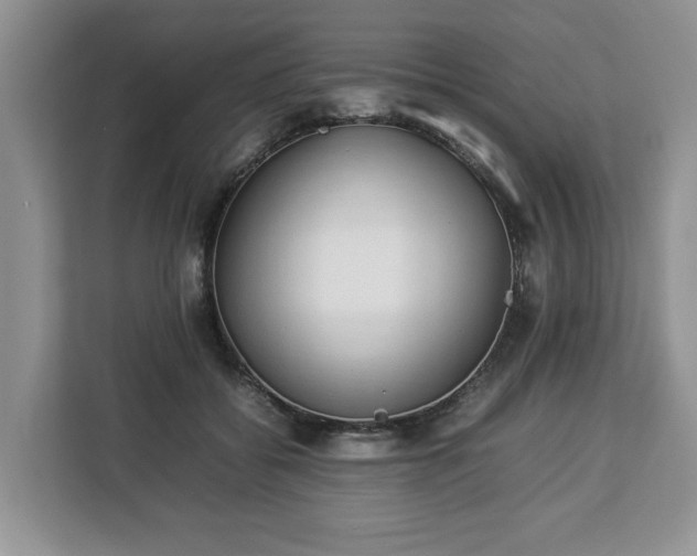 X0000112830556200908281534