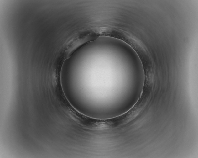 X0000112830558200908281534