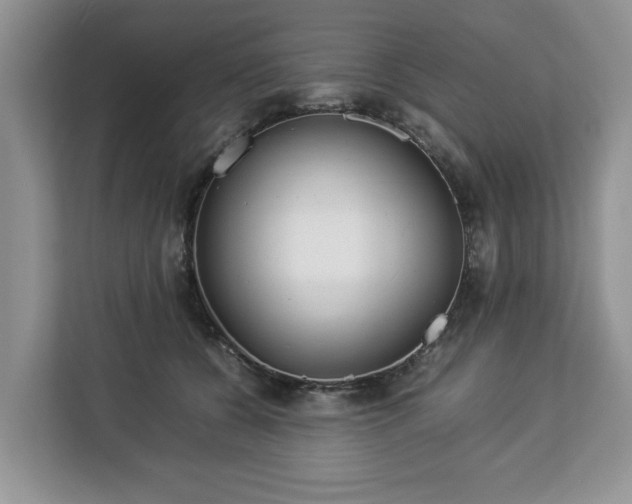 X0000112830560200908281534