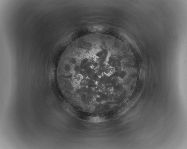 X0000112830561200908281534