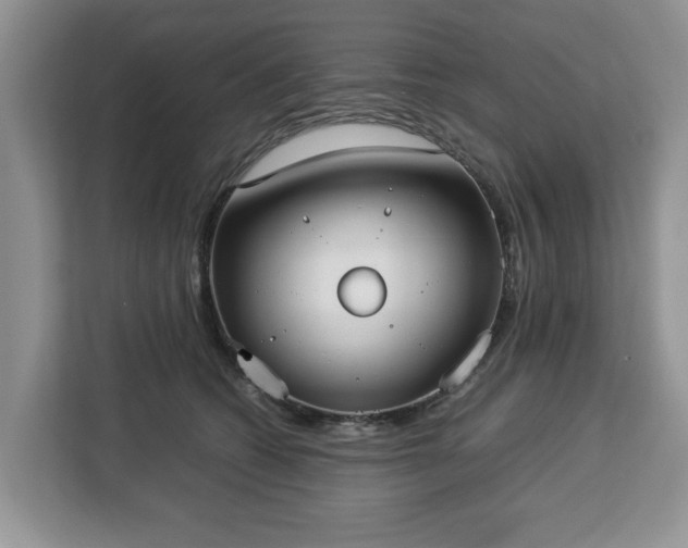 X0000112830562200908281534