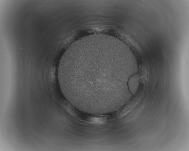 X0000112830563200908281534