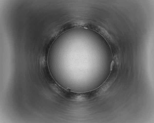 X0000112830564200908281534